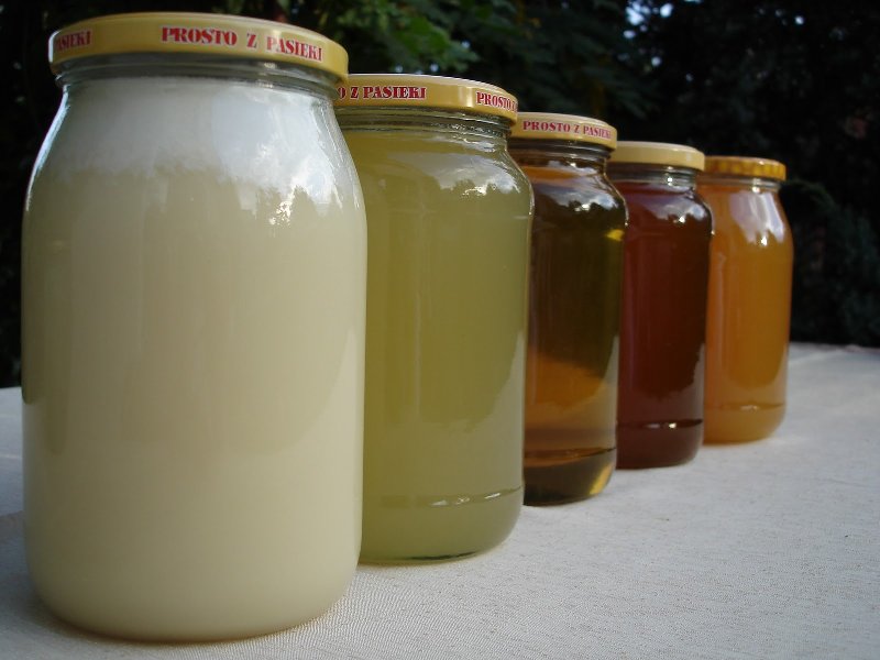 Rodzaje miodów, ich właściwości i zastosowanie