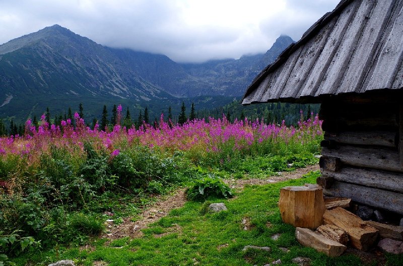 Dlaczego polskie Tatry?