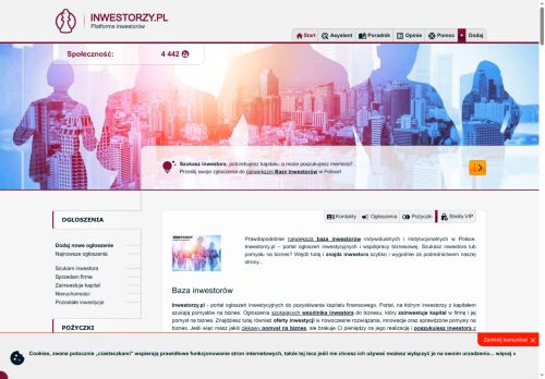 Biznes oferty, jakie są najlepsze