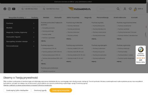 Pucharowo efektowne nagrody i wyróżnienia